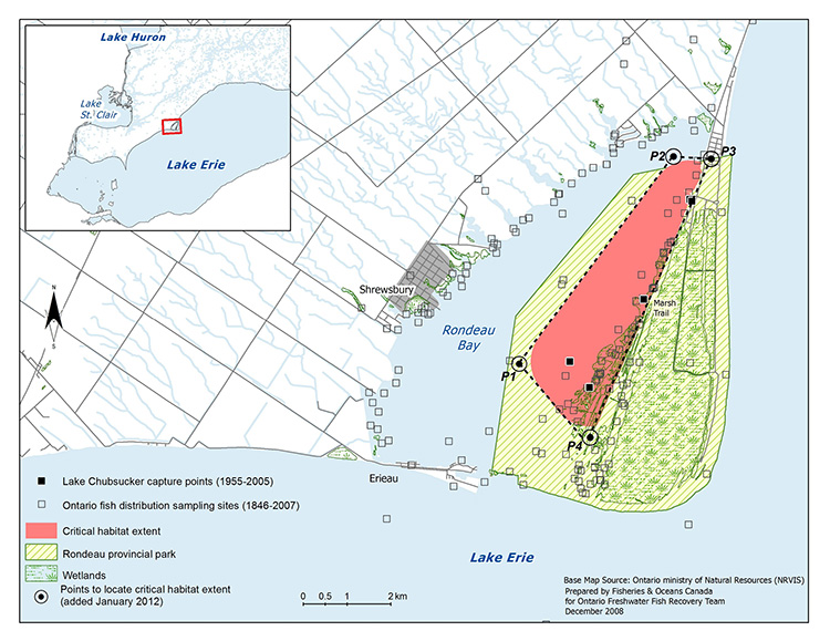 Map 3: Critical Habitat of the Lake Chubsucker in Rondeau Bay