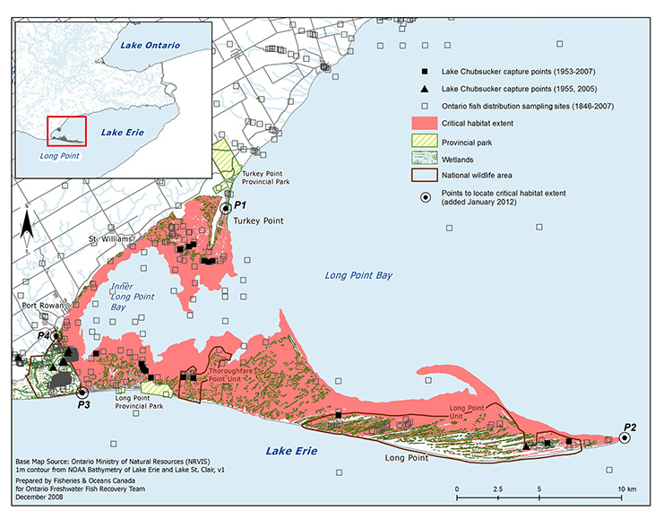 Map 4: Critical Habitat of the Lake Chubsucker in Long Point Bay