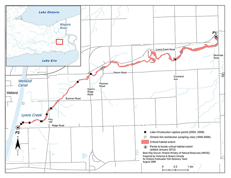 Map 5: Critical Habitat of the Lake Chubsucker in Lyons Creek