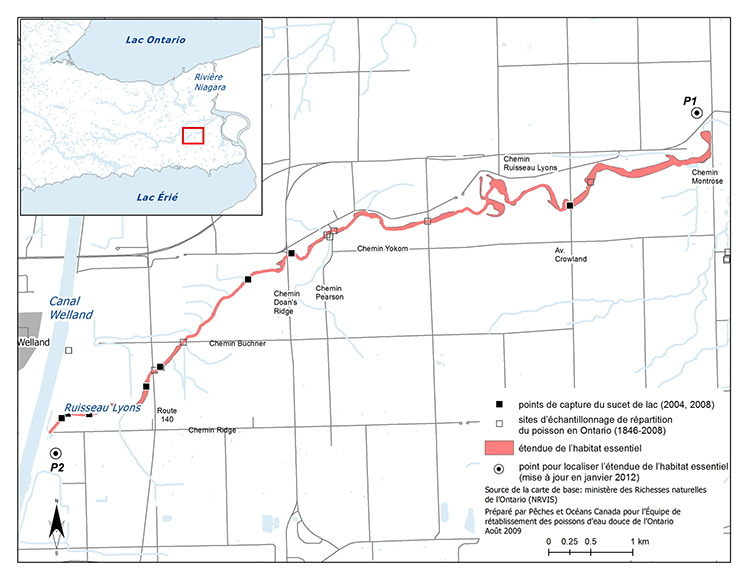 Carte 5 : habitat essentiel du sucet de lac dans le ruisseau Lyons